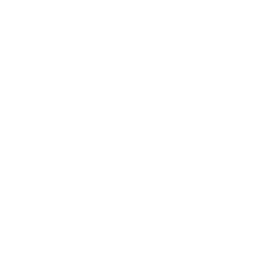 logo instagram